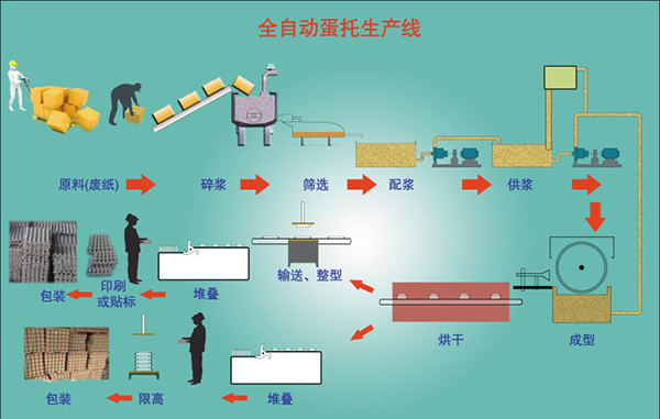 蛋托生產(chǎn)線需要多少錢？